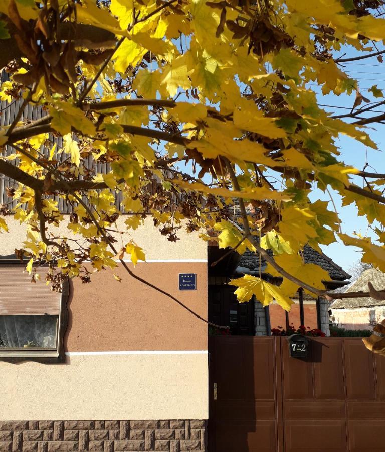 Apartman Sokica Bizovac Buitenkant foto